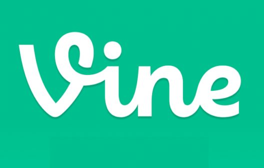 vine