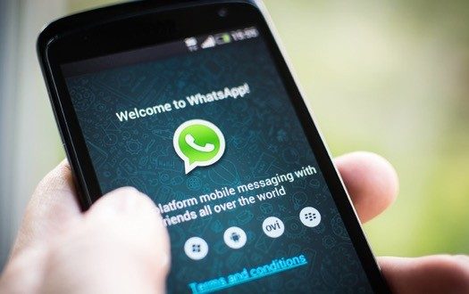 whatsapp whatsapp