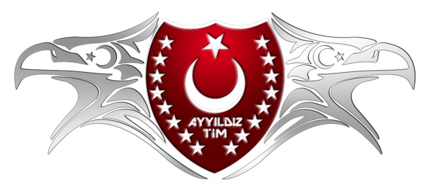 Türk Hacker Grubu Ayyıldız Tim Türk Hacker Grubu Ayyıldız Tim