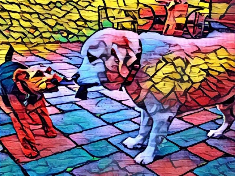 Prisma 