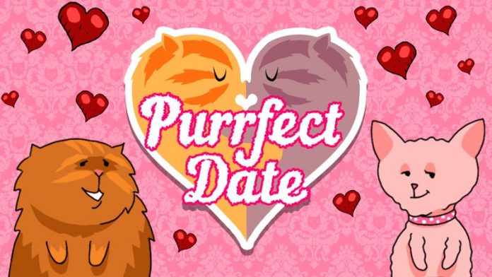 Purrfect Date İncelemesi