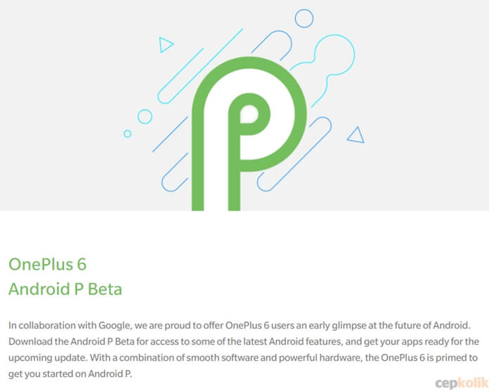 Oneplus 6 android p beta 3 download