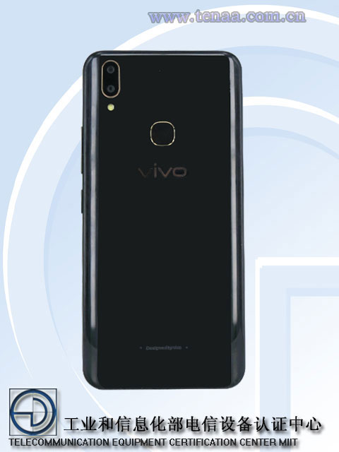 Vivo