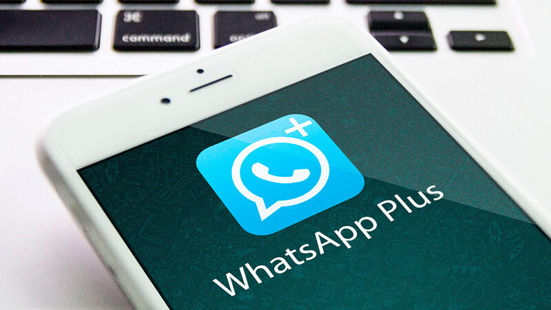 Whatsapp Plus