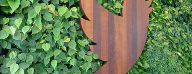 Twitter-bird-650x250