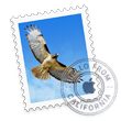 overview_apps_mail_icon