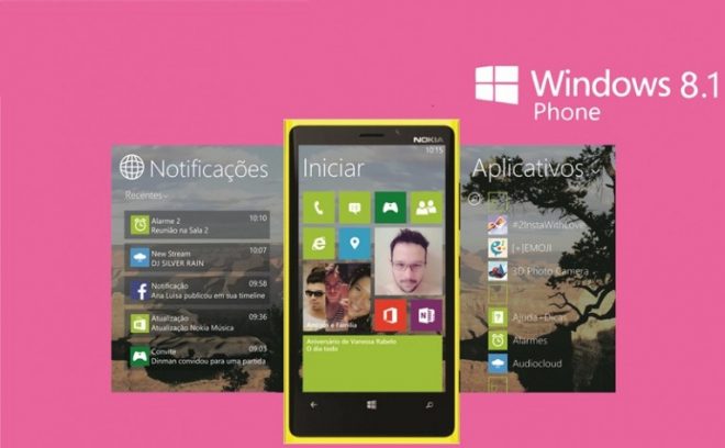 WP-8.1 WP-8.1